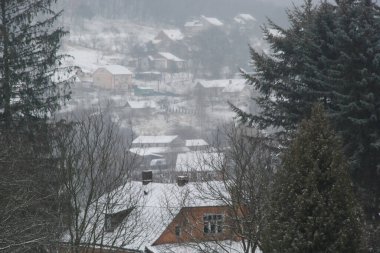 Karpat Dağlarının yumuşak yamaçları