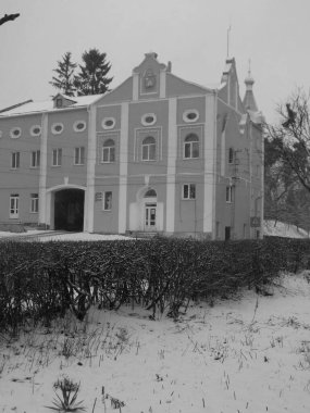 Eski kasabada Noel ağacı. Noel ağacı, eski kasaba.        