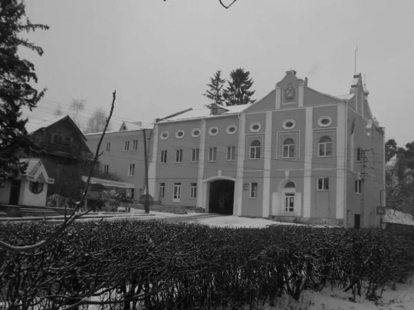 Árvore Natal Cidade Velha Árvore Natal Cidade Velha — Fotografia de Stock