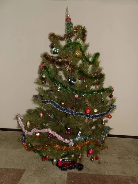 Χριστούγεννα Κομψά Χριστουγεννιάτικα Δέντρα — Φωτογραφία Αρχείου