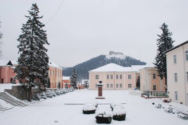  Eski kasabada Noel ağacı. Noel ağacı, eski kasaba.                  