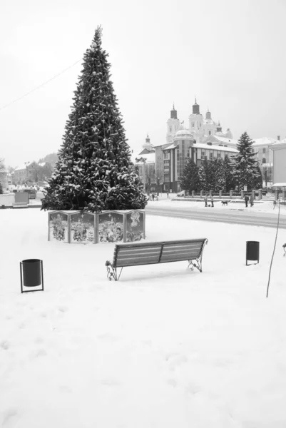 Eski Kasabada Noel Ağacı Noel Ağacı Eski Kasaba — Stok fotoğraf
