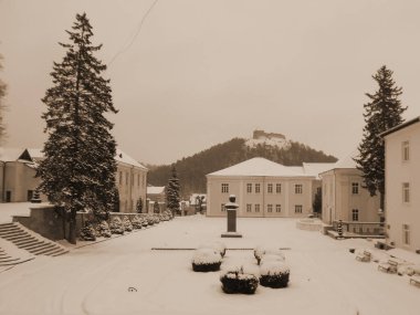   Eski kasabada Noel ağacı. Noel ağacı, eski kasaba.                           