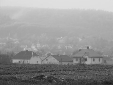 Bekarlık eski ormanda başlar.                 