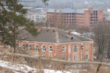 Eski kasabada Noel ağacı. Noel ağacı, eski kasaba.                  