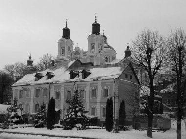 Eski kasaba meydanındaki Noel ağacı. Noel ağacı, eski meydan, şehir, yapay, dallar, çelenkler, genel manzara, yeşil, mücevherler, iğneler, yeni yıl, oyuncaklar, ağaç, gövde.