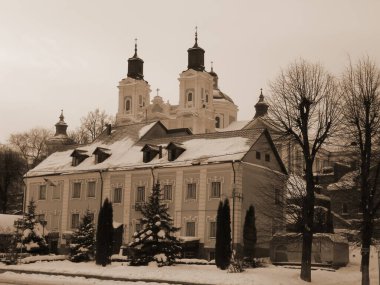 Eski kasaba meydanındaki Noel ağacı. Noel ağacı, eski meydan, şehir, yapay, dallar, çelenkler, genel manzara, yeşil, mücevherler, iğneler, yeni yıl, oyuncaklar, ağaç, gövde.