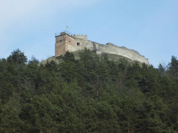 Resti Del Vecchio Muro Della Torre Ingresso — Foto Stock