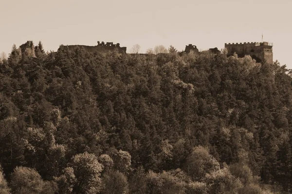 Veduta Generale Della Collina Del Castello — Foto Stock