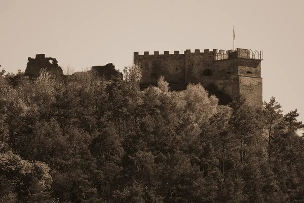 Vista Geral Colina Castelo — Fotografia de Stock