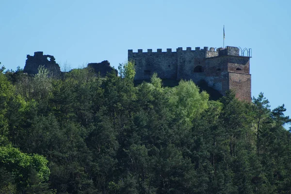 Vista Geral Colina Castelo — Fotografia de Stock