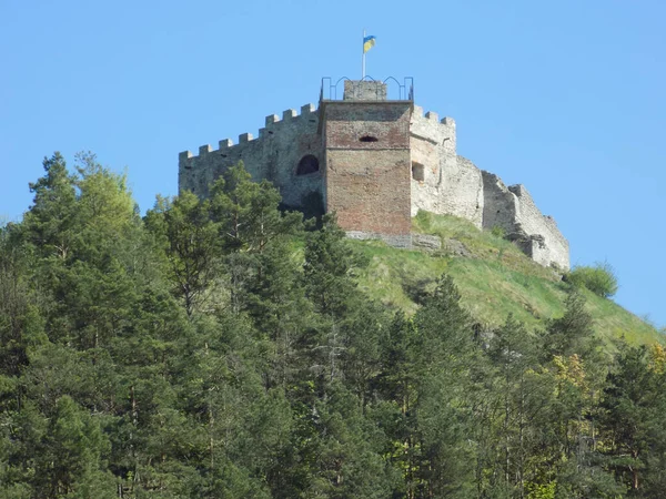 Vista Geral Colina Castelo — Fotografia de Stock