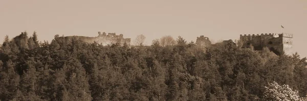 Γενική Άποψη Του Λόφου Castle — Φωτογραφία Αρχείου