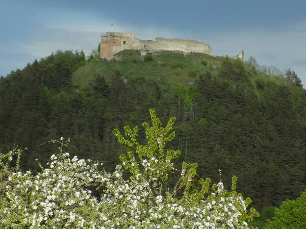 Veduta Generale Della Collina Del Castello — Foto Stock