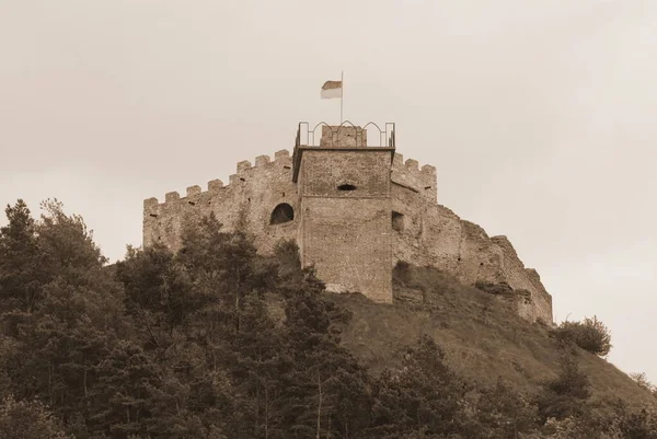 Allgemeiner Blick Auf Den Burgberg — Stockfoto