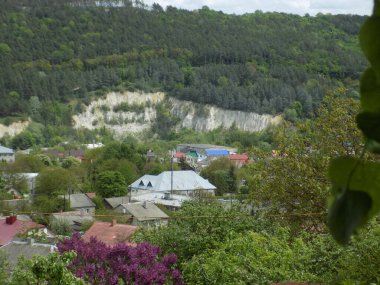 Rocky, sığ, dağ yamacı