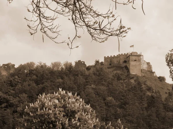 Veduta Generale Della Collina Del Castello — Foto Stock