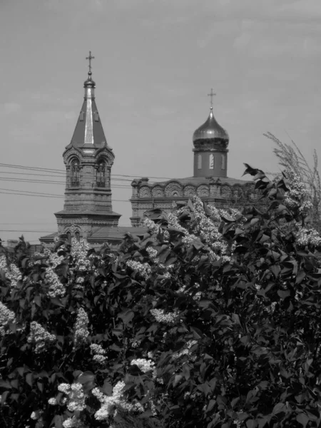 Iglesia Svyatopokrovska Regimiento Lila — Foto de Stock