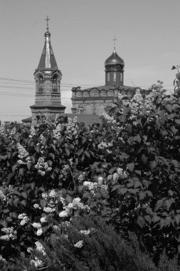  Svyatopokrovska (Alay) Kilise ve leylak