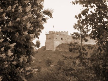  Castle Hill 'in genel manzarası                             