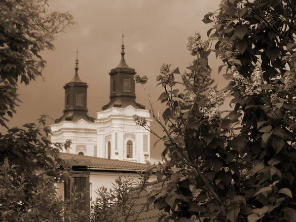 Katedral Transfigurasi — Stok Foto