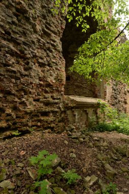 Rivne bölgesinin Dubensky bölgesinin hamamböcekleri köyünde bir kale.