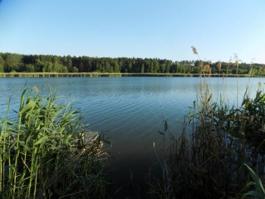 Göl ve karışık orman