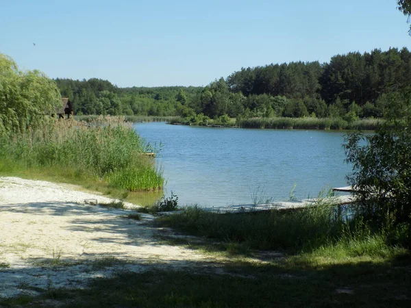 Lago Floresta Mista — Fotografia de Stock