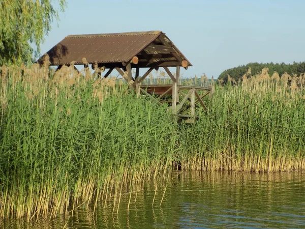 Gazebo Sobre Lago — Fotografia de Stock