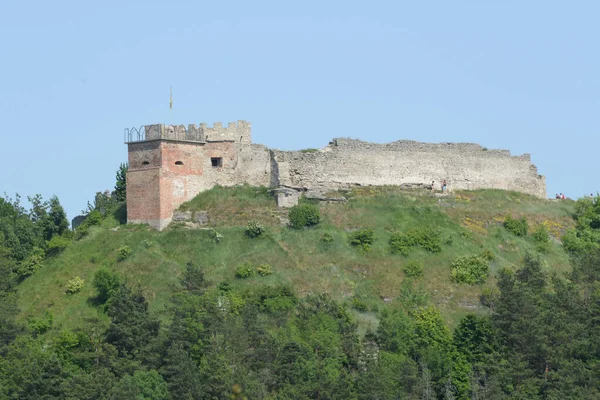 Vista Geral Colina Castelo — Fotografia de Stock