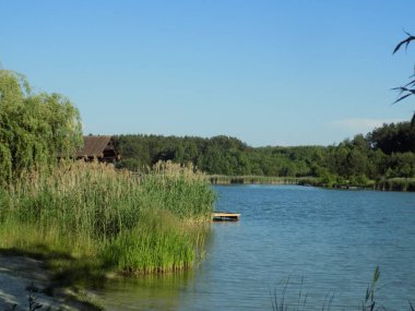 Göl ve karışık orman