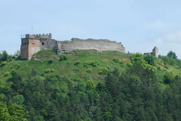 Vue Générale Colline Château — Photo