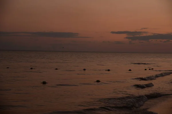 Avond Zee Zwarte Zee — Stockfoto