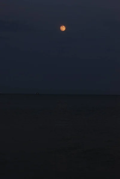 Avond Zee Zwarte Zee — Stockfoto