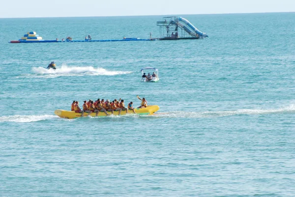 Mar Negro Yegua Ruceno Latino Atracción Del Plátano —  Fotos de Stock