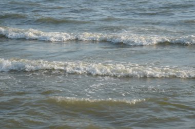 Karadeniz 'de Dalgalar