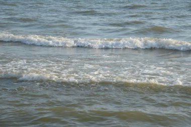 Karadeniz 'de Dalgalar