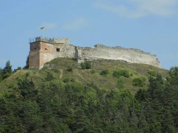 Vue Générale Colline Château — Photo