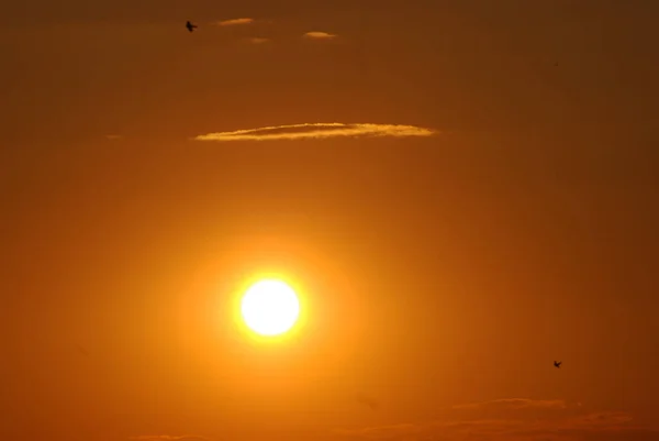 Avond Bewolkte Lucht Algemeen Uitzicht — Stockfoto