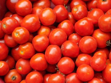Yenilebilir domates, domates (Lycopersicon)