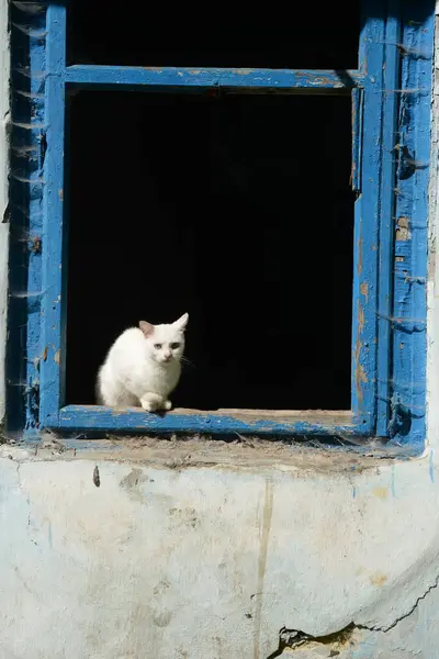 Ventana Una Vieja Casa Ruinas — Foto de Stock