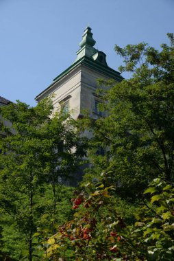 Genel görünüm Olesko kalesi