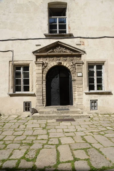 Vue Générale Château Olesko — Photo