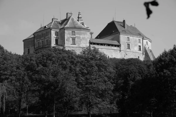 Vista Generale Olesko Castle — Foto Stock