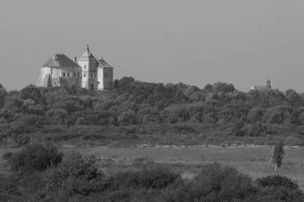 Widok Ogólny Zamek Olesko — Zdjęcie stockowe