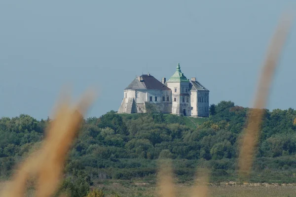 Widok Ogólny Zamek Olesko — Zdjęcie stockowe