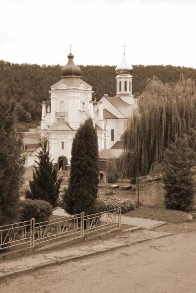 Aziz Niklas Katedrali (Fransisken Manastırı)                                                                     