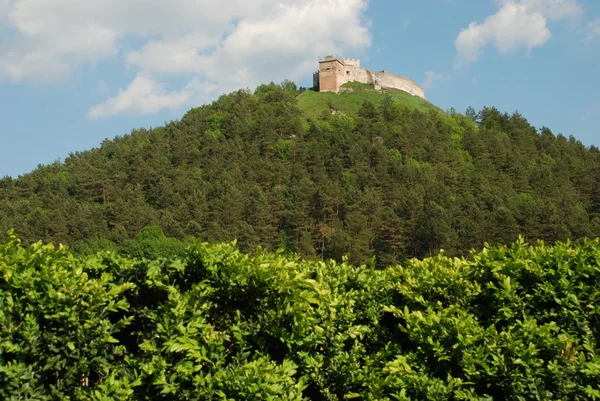 Замковый холм — стоковое фото