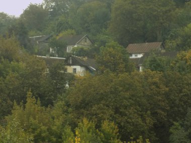 Ukrayna köyündeki ahşap ev. Ormanın kıyısındaki köy. Eski harap ev           