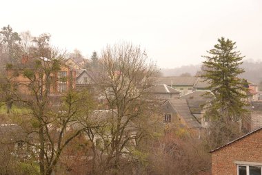 Ukrayna köyündeki ahşap ev. Ormanın kıyısındaki köy. Eski harap ev 